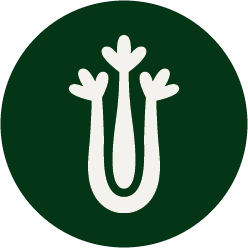 Contiene Sedano